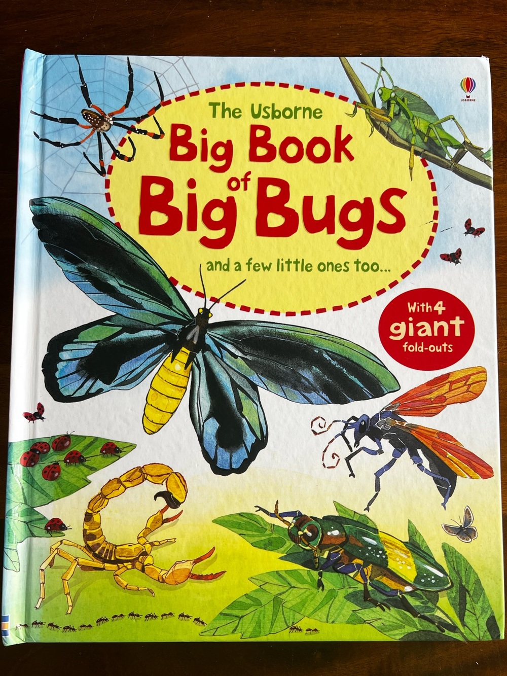 USBORNE | Big Book of Big Bugs